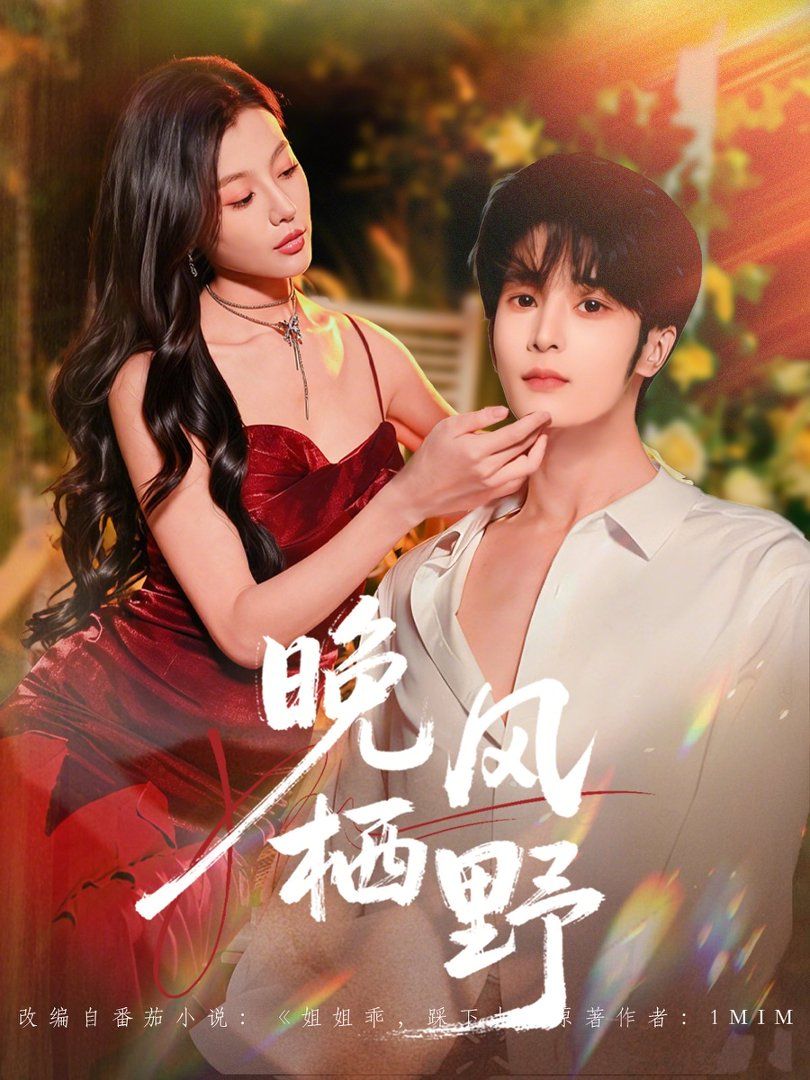 晚风栖野(全集)