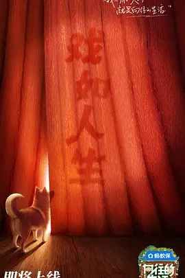 向往的生活 第八季(全集)