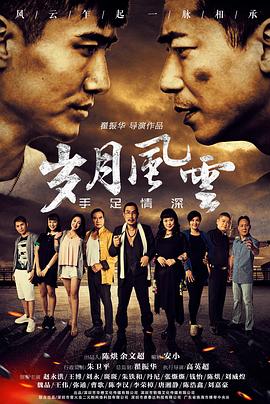 岁月风云之手足情深(全集)