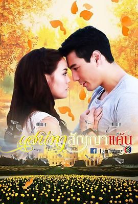 爱恨之约(全集)