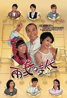 两妻时代国语第13集