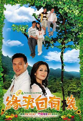 缘来自有机国语第16集