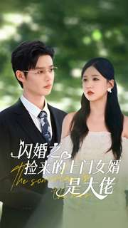 闪婚之捡来的上门女婿是大佬第77集