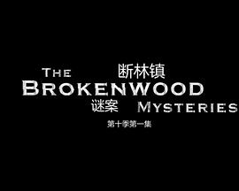 断林镇谜案第十季第01集