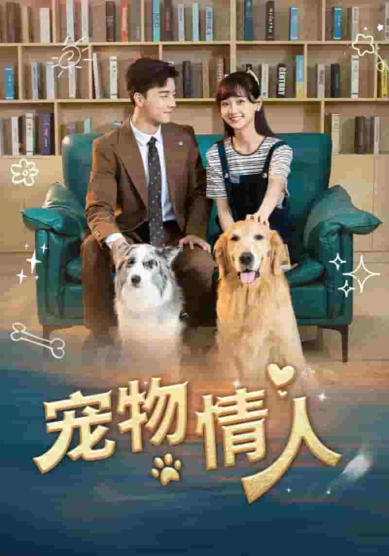 宠物情人短剧版第04集